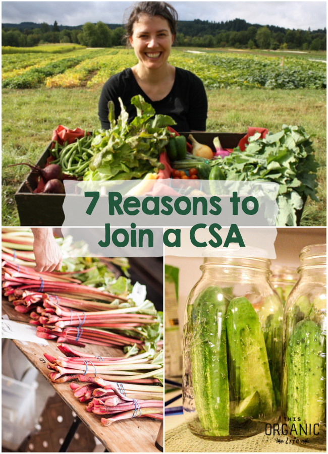 7-Reasons-to-Join-CSA